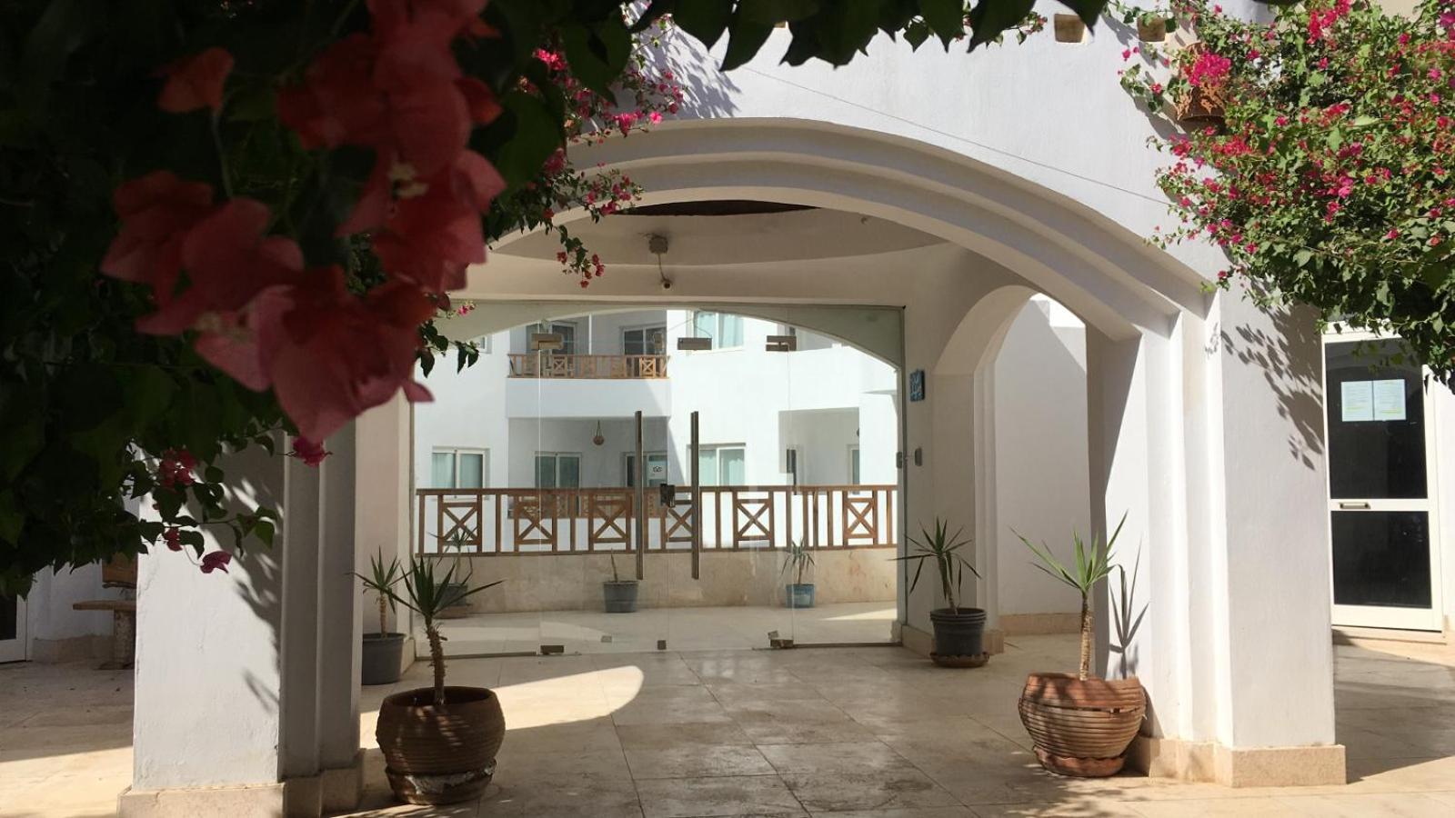 Blue Vision Diving Hotel Marsa Alam Zewnętrze zdjęcie
